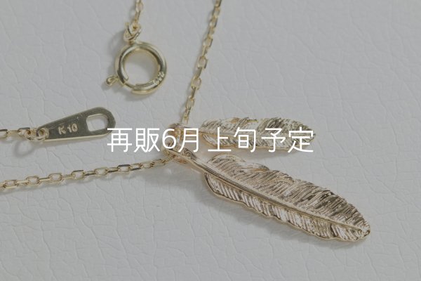 画像5: Wフェザーネックレス(マイクロ) ｜K10YG｜  (5)