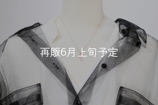 画像10: Wフェザーネックレス(マイクロ) ｜K10PG｜  (10)