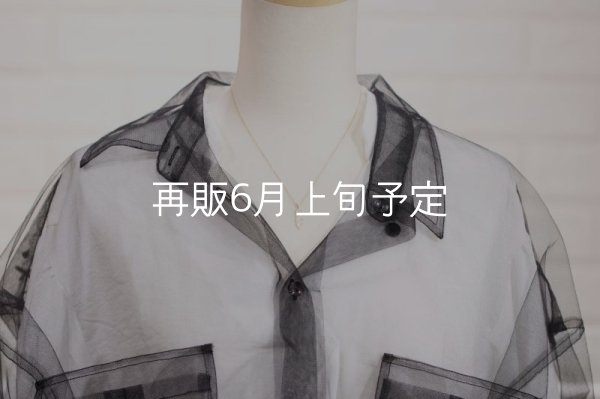 画像7: マイクロフェザーネックレス ｜K10YG｜  (7)