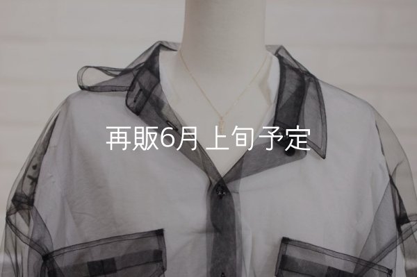画像8: マイクロフェザーネックレス ｜K10YG｜  (8)
