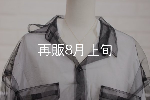 画像8: マイクロフェザーネックレス ｜K10YG｜  (8)