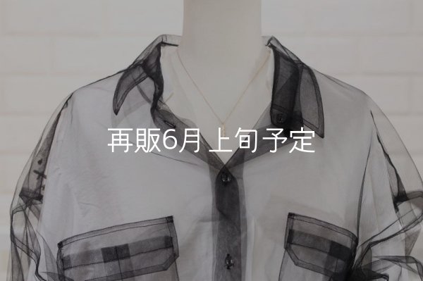 画像7: マイクロフェザーネックレス ｜K18YG｜  (7)