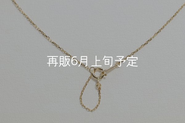 画像5: マイクロフェザーネックレス ｜K18YG｜  (5)