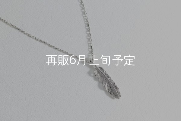 画像1: マイクロフェザーネックレス ｜Pt900｜  (1)