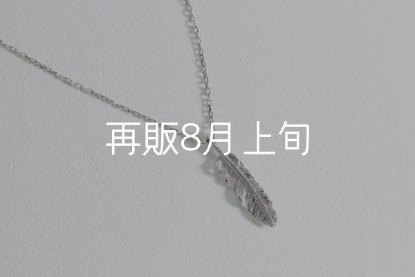 画像1: マイクロフェザーネックレス ｜Pt900｜  (1)