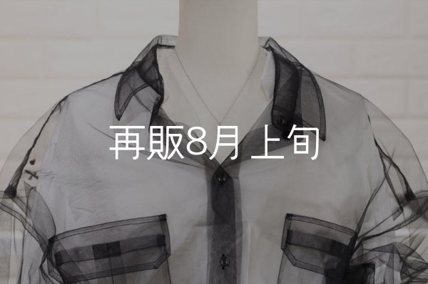 画像7: マイクロフェザーネックレス ｜Pt900｜  (7)