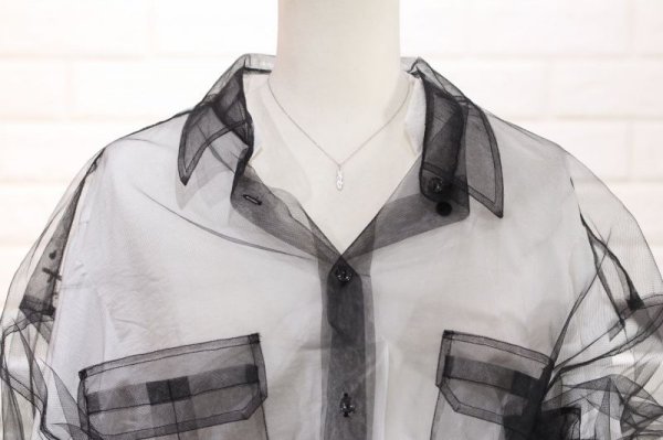 画像8: マイクロフェザーネックレス |Pt900|  (8)