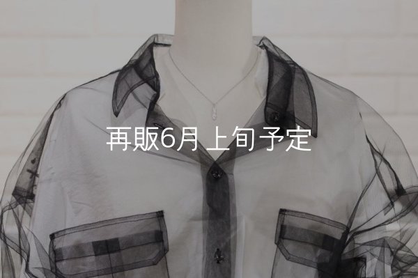 画像8: マイクロフェザーネックレス ｜Pt900｜  (8)