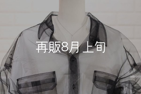 画像8: マイクロフェザーネックレス ｜Pt900｜  (8)