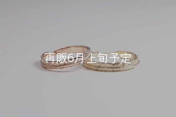 画像1: フェザーリング(3mm) [ペア] ｜K10PG / K10YG｜  (1)