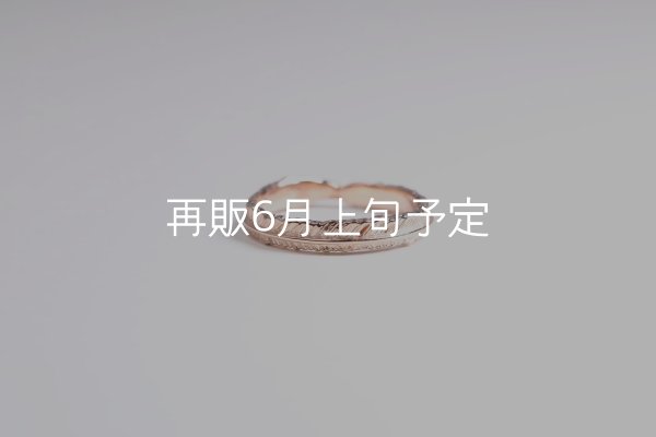 画像2: フェザーリング(3mm) [ペア] ｜K10PG / K18YG｜  (2)