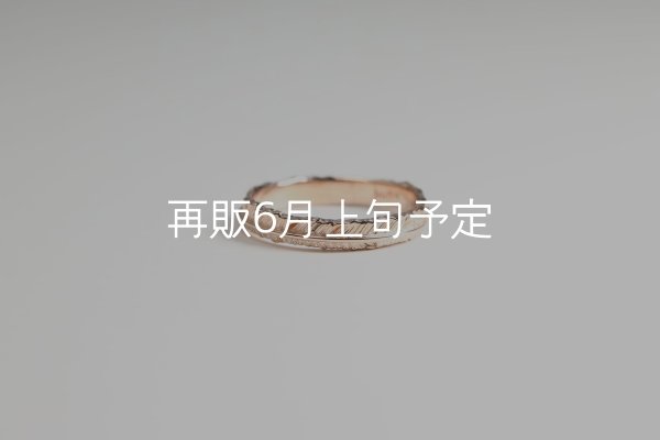 画像2: フェザーリング(3mm) ｜K10PG｜  (2)