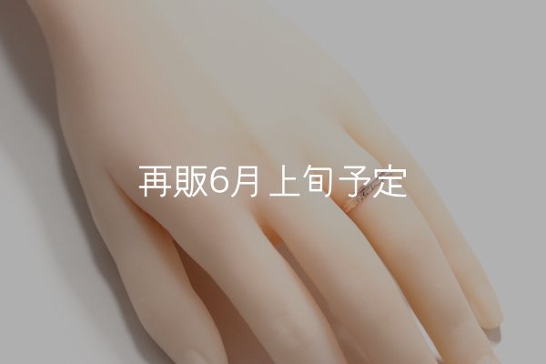 画像8: フェザーリング(3mm) ｜K10PG｜  (8)
