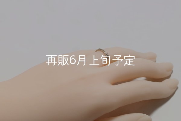 画像7: フェザーリング(3mm) ｜K10YG｜  (7)