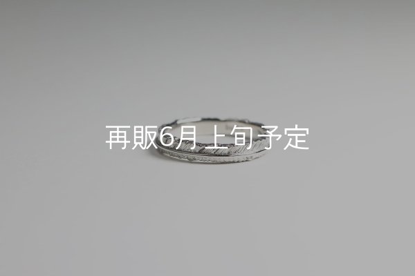 画像2: フェザーリング(3mm) [ペア] ｜Pt900 / K18WG｜  (2)