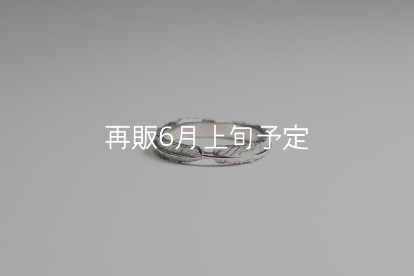 画像3: フェザーリング(3mm) [ペア] ｜Pt900 / K18WG｜  (3)