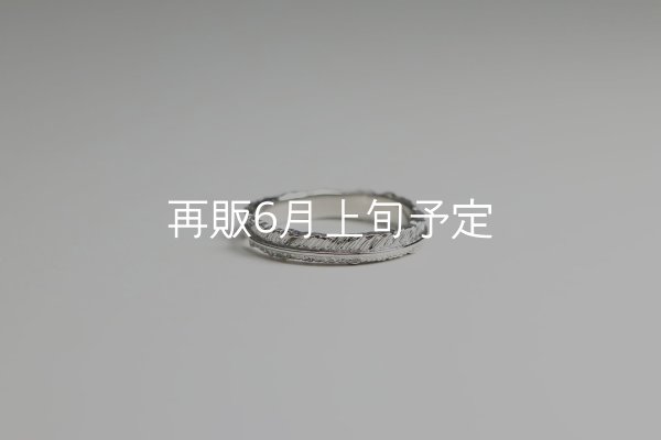 画像4: フェザーリング(3mm) [ペア] ｜Pt900 / K18WG｜  (4)