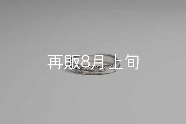 画像4: フェザーリング(3mm) [ペア] ｜Pt900 / K18YG｜  (4)