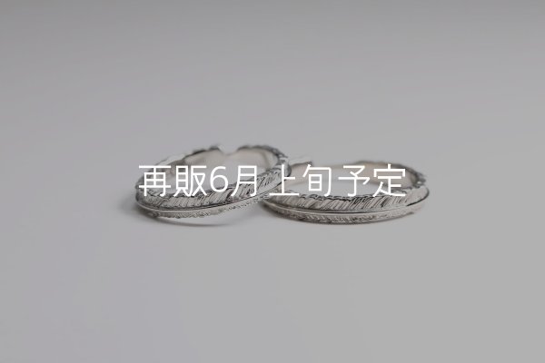 画像1: フェザーリング(3mm) [ペア] ｜Pt900 / K18WG｜  (1)