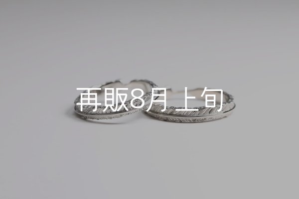 画像1: フェザーリング(3mm) [ペア] ｜Pt900 / K18WG｜  (1)