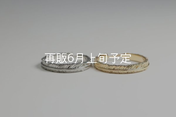 画像10: フェザーリング(3mm) [ペア] ｜Pt900 / K18YG｜  (10)