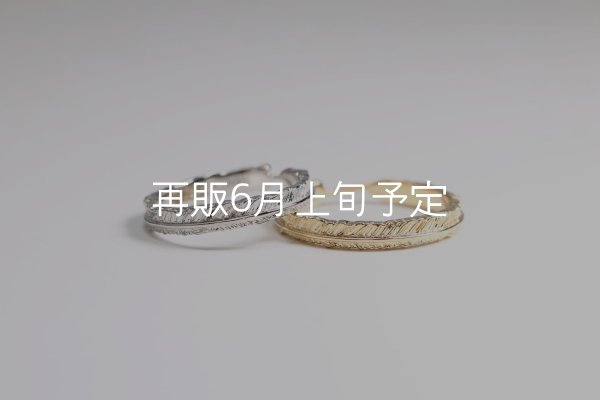 画像1: フェザーリング(3mm) [ペア] ｜Pt900 / K18YG｜  (1)