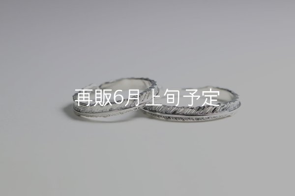 画像1: フェザーリング(3mm) [ペア]  (1)