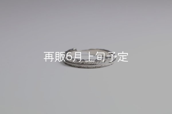 画像6: フェザーリング(3mm) [ペア] ｜Pt900 / K18WG｜  (6)