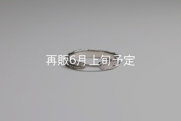 画像7: フェザーリング(3mm) [ペア] ｜Pt900 / K18WG｜  (7)