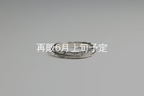 画像8: フェザーリング(3mm) [ペア] ｜Pt900 / K18WG｜  (8)