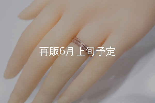 画像6: フェザーリング(4mm) ｜K10PG｜  (6)