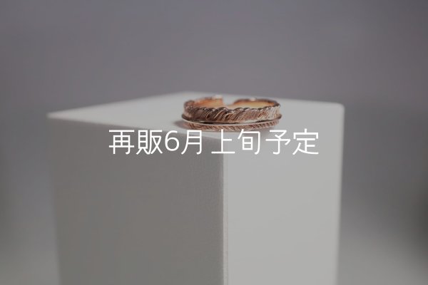 画像2: フェザーリング(4mm) ｜K10PG｜  (2)