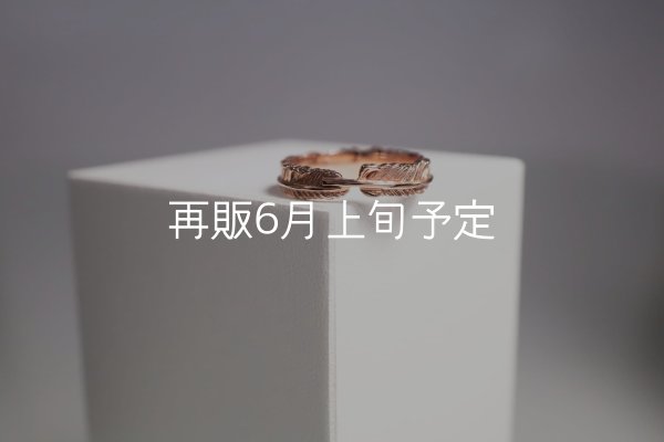 画像3: フェザーリング(4mm) ｜K10PG｜  (3)