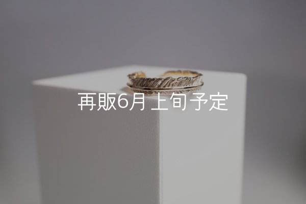 画像2: フェザーリング(4mm) ｜K10YG｜  (2)