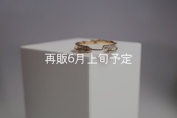 画像3: フェザーリング(4mm) ｜K10YG｜  (3)