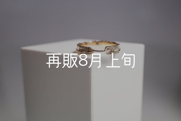 画像3: フェザーリング(4mm) ｜K10YG｜  (3)
