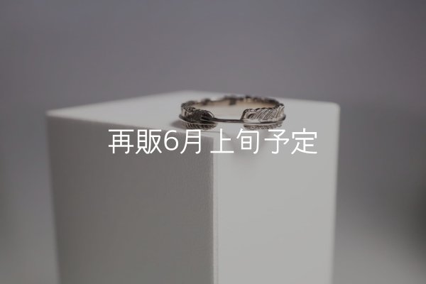 画像3: フェザーリング(4mm) ｜K18WG｜  (3)