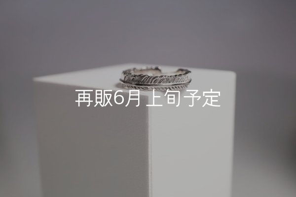 画像2: フェザーリング(4mm) ｜Pt900｜  (2)