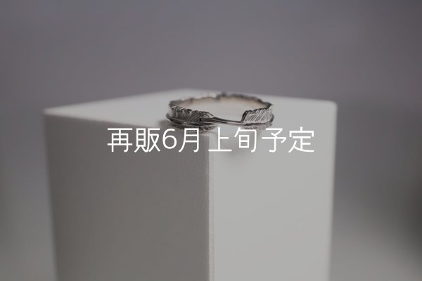 画像3: フェザーリング(4mm) ｜Pt900｜  (3)