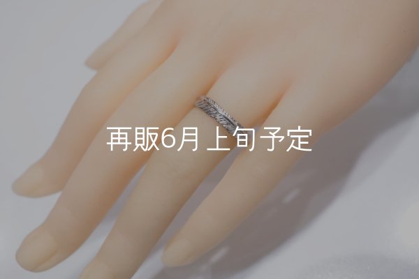画像6: フェザーリング(4mm) ｜Pt900｜  (6)