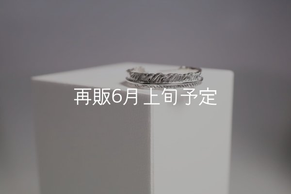 画像2: フェザーリング(4mm)  (2)