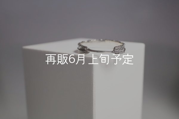 画像3: フェザーリング(4mm)  (3)