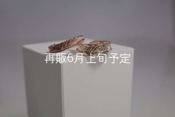画像1: フェザーリング [ペア]  ■K10PG 4mm  ■K10YG 6mm  (1)