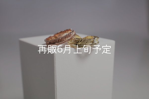 画像1: フェザーリング [ペア]  ■K10PG 4mm  ■K18YG 6mm  (1)
