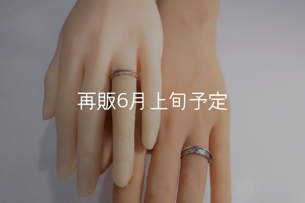 画像2: フェザーリング [ペア]  ■K10PG 4mm  ■SV925 6mm  (2)
