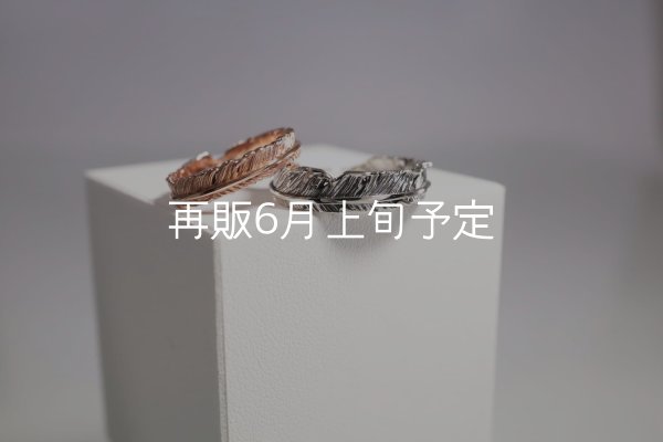 画像1: フェザーリング [ペア]  ■K10PG 4mm  ■SV925 6mm  (1)