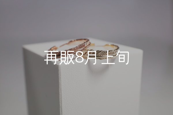 画像1: フェザーリング [ペア]  ■K10PG 3mm  ■K10YG 4mm  (1)