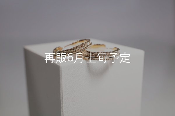 画像1: フェザーリング [ペア] ｜K10YG｜ ■3mm  ■4mm  (1)