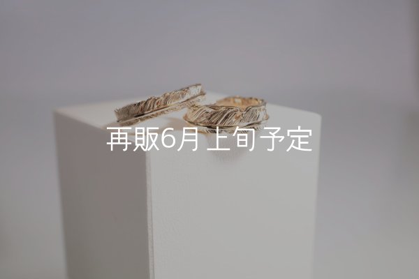 画像1: フェザーリング [ペア] ｜K10YG｜ ■4mm  ■6mm  (1)