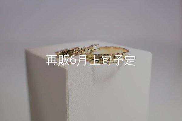画像1: フェザーリング [ペア] ｜K18YG｜ ■3mm  ■4mm  (1)